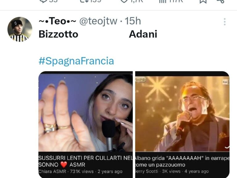 Meme Telecronaca Bizzotto-Adani